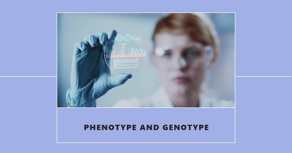 Understanding the XCXC Genotype and Its Phenotypic Implications